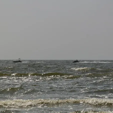 Tekila Palanga